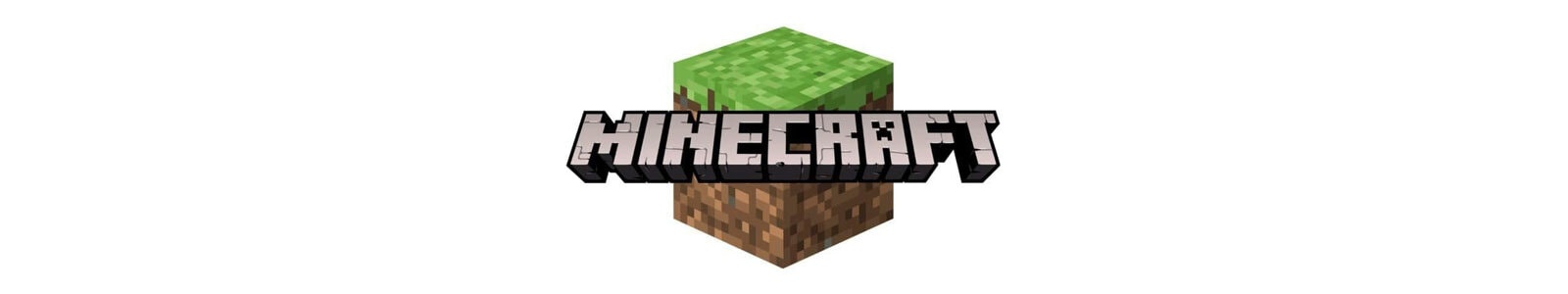 Minecraft Kinderparty