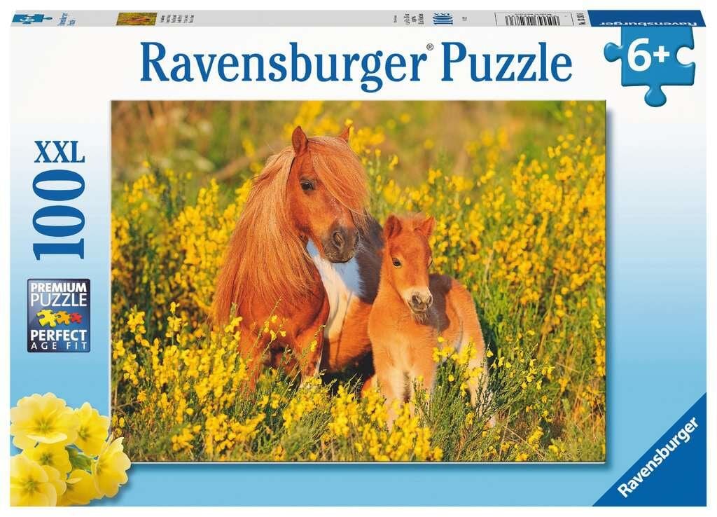 Ravensburger Puzzle - Shetlandsponys 100 Teile XXL