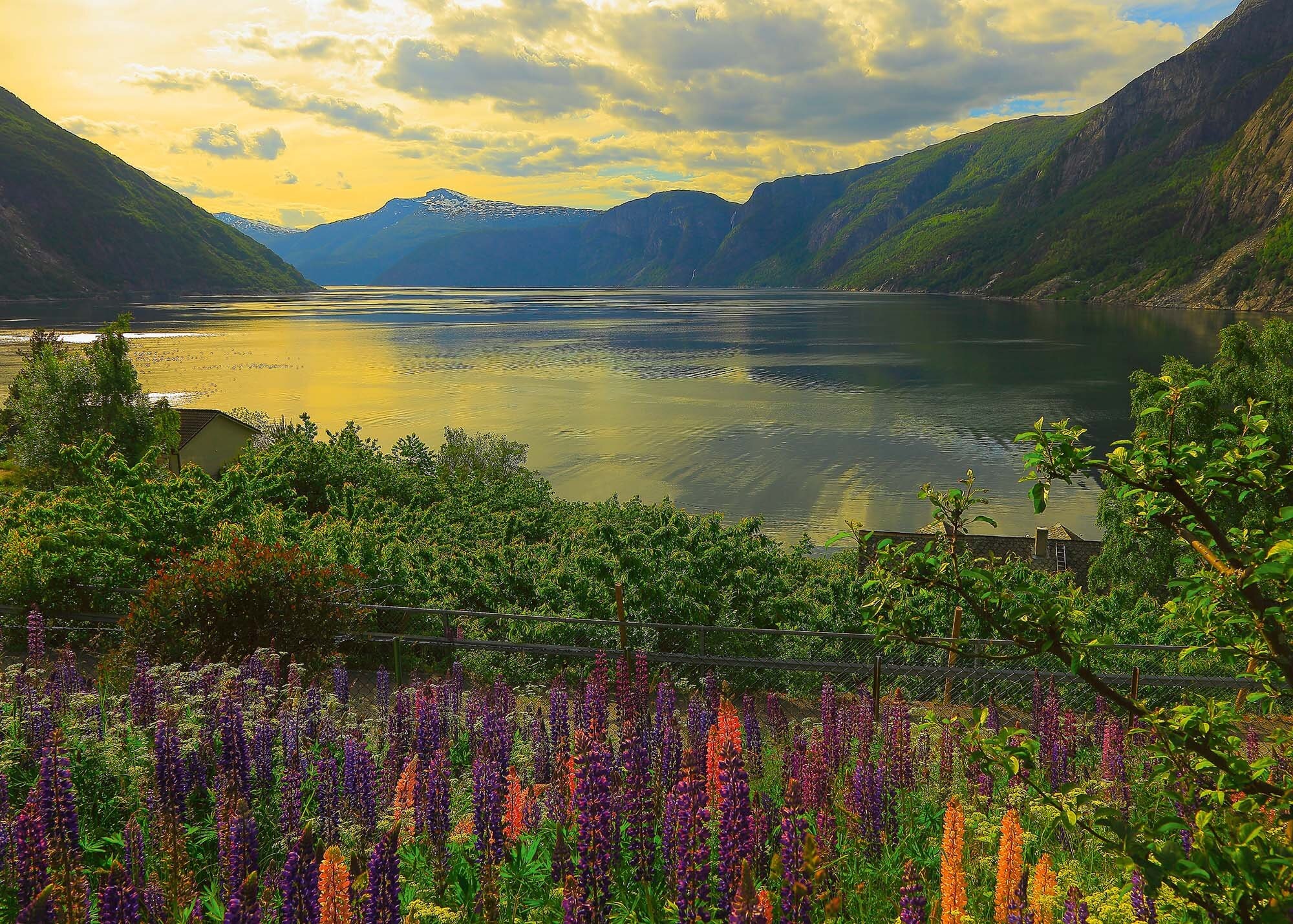 Ravensburger Puzzle - Fjord in Norwegen 1000 Teile