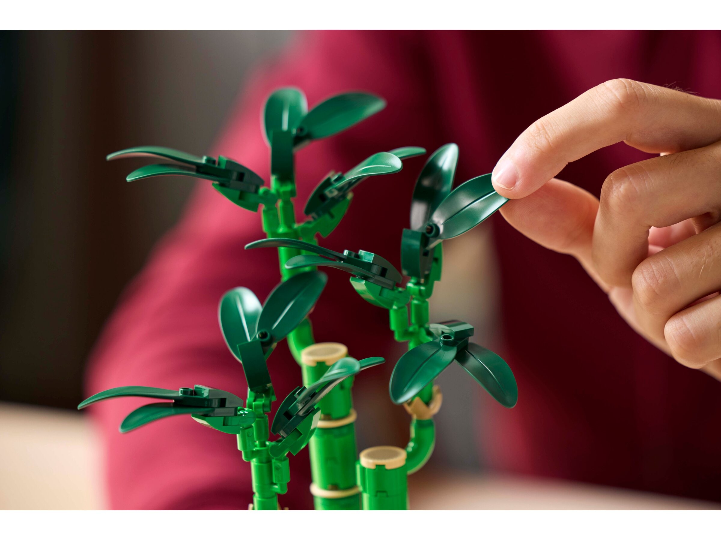 LEGO Botanical - Glücks-Bambus 18+