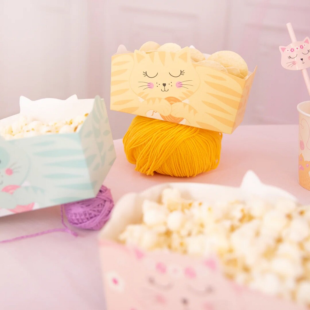 Katzen Snackboxen 3er-Pack