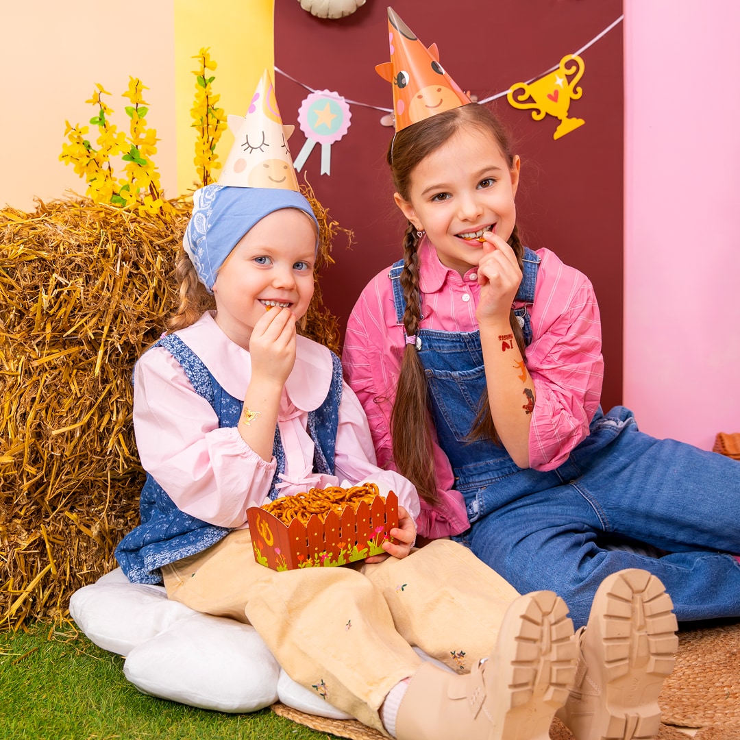 Pferde - Snackboxen 3er-Pack