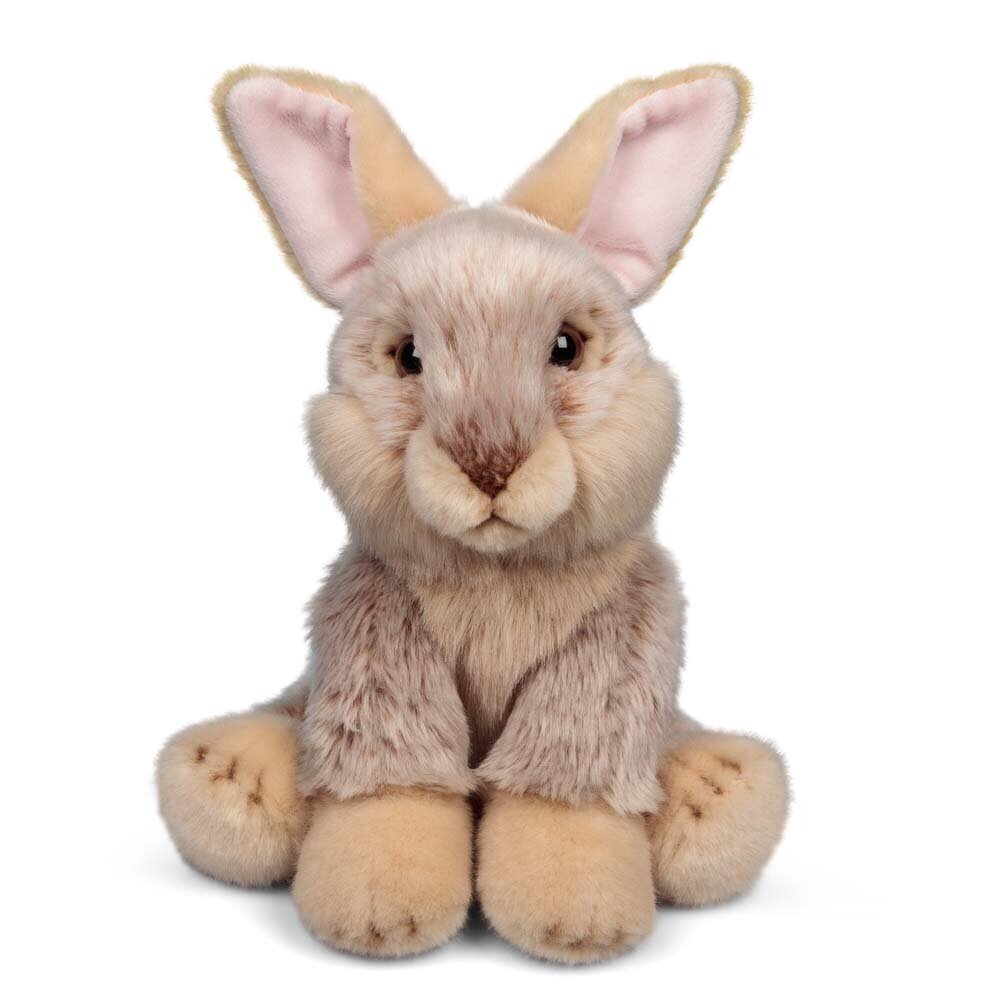 Animigos World of Nature - Hase 24 cm