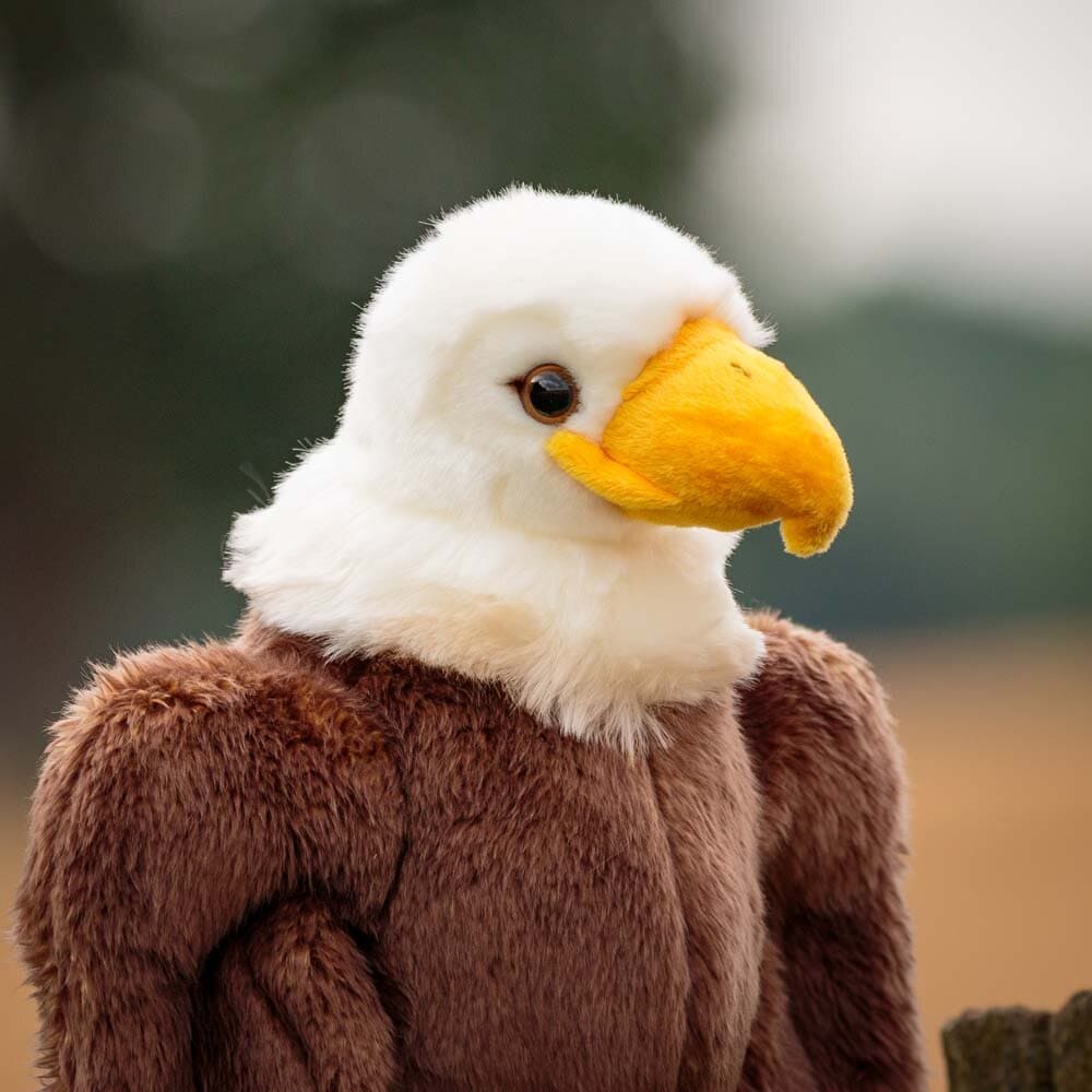 Animigos World of Nature - Seeadler 31 cm