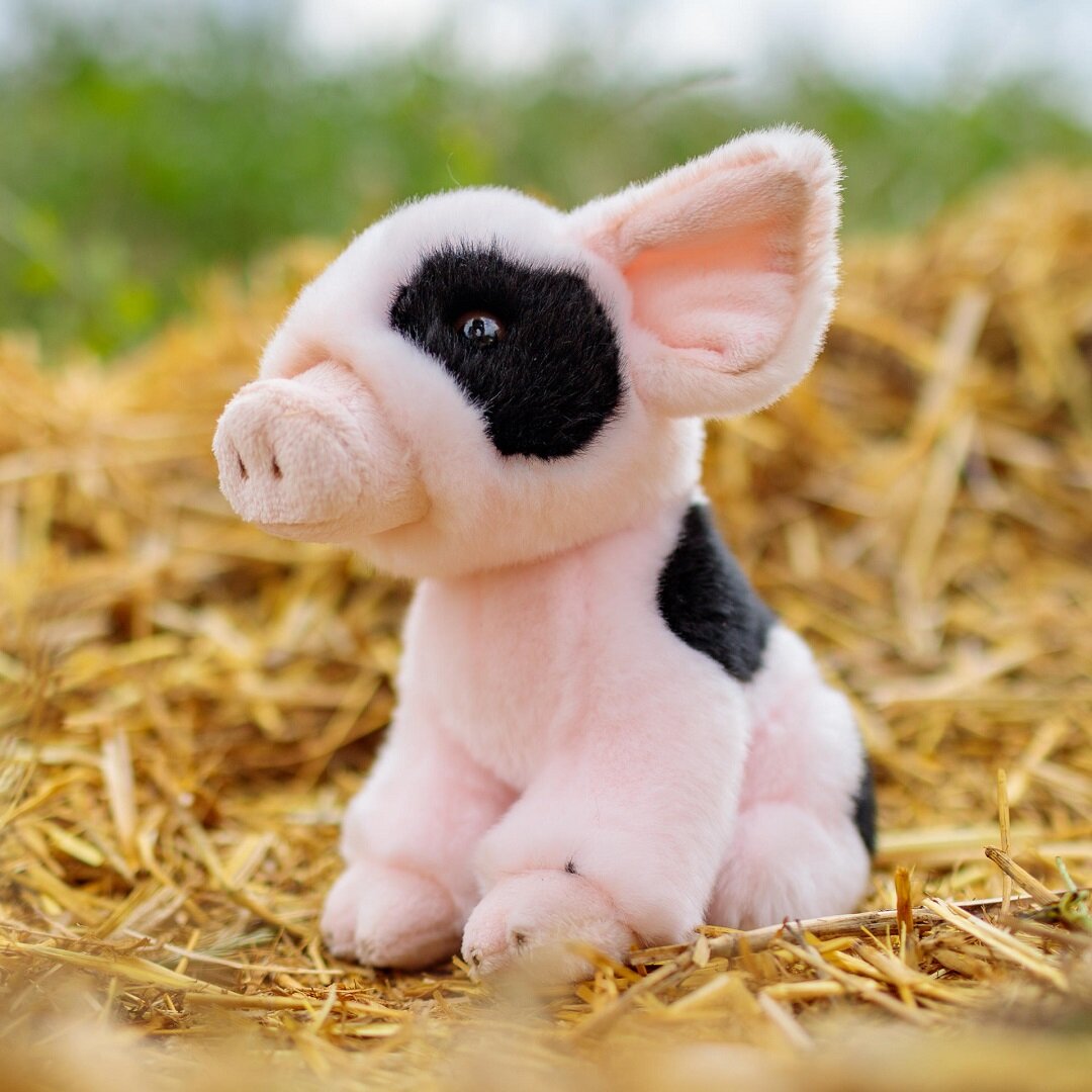 Animigos World of Nature Ferkel 19 cm