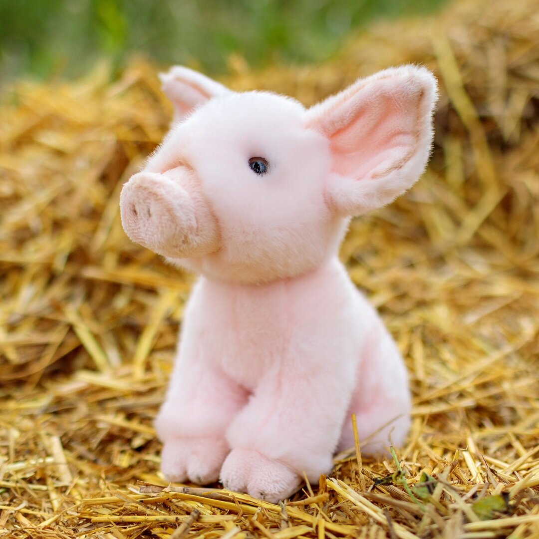 Animigos World of Nature Ferkel 19 cm