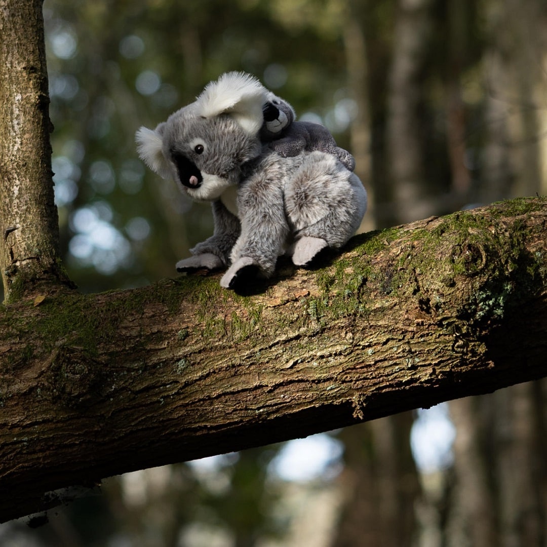 Animigos World of Nature Koala mit Baby 25 cm