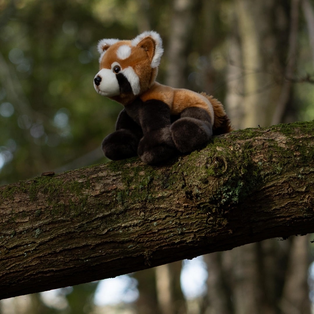 Animigos World of Nature Roter Panda 26 cm