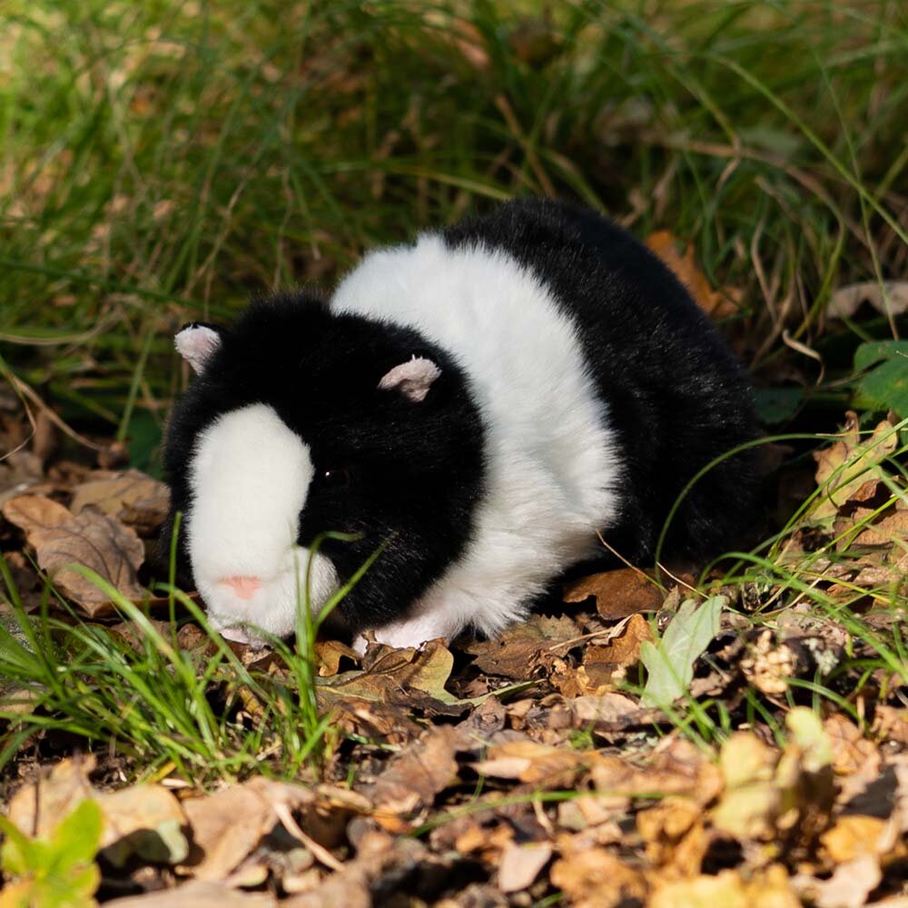 Animigos World of Nature - Meerschweinchen 21 cm