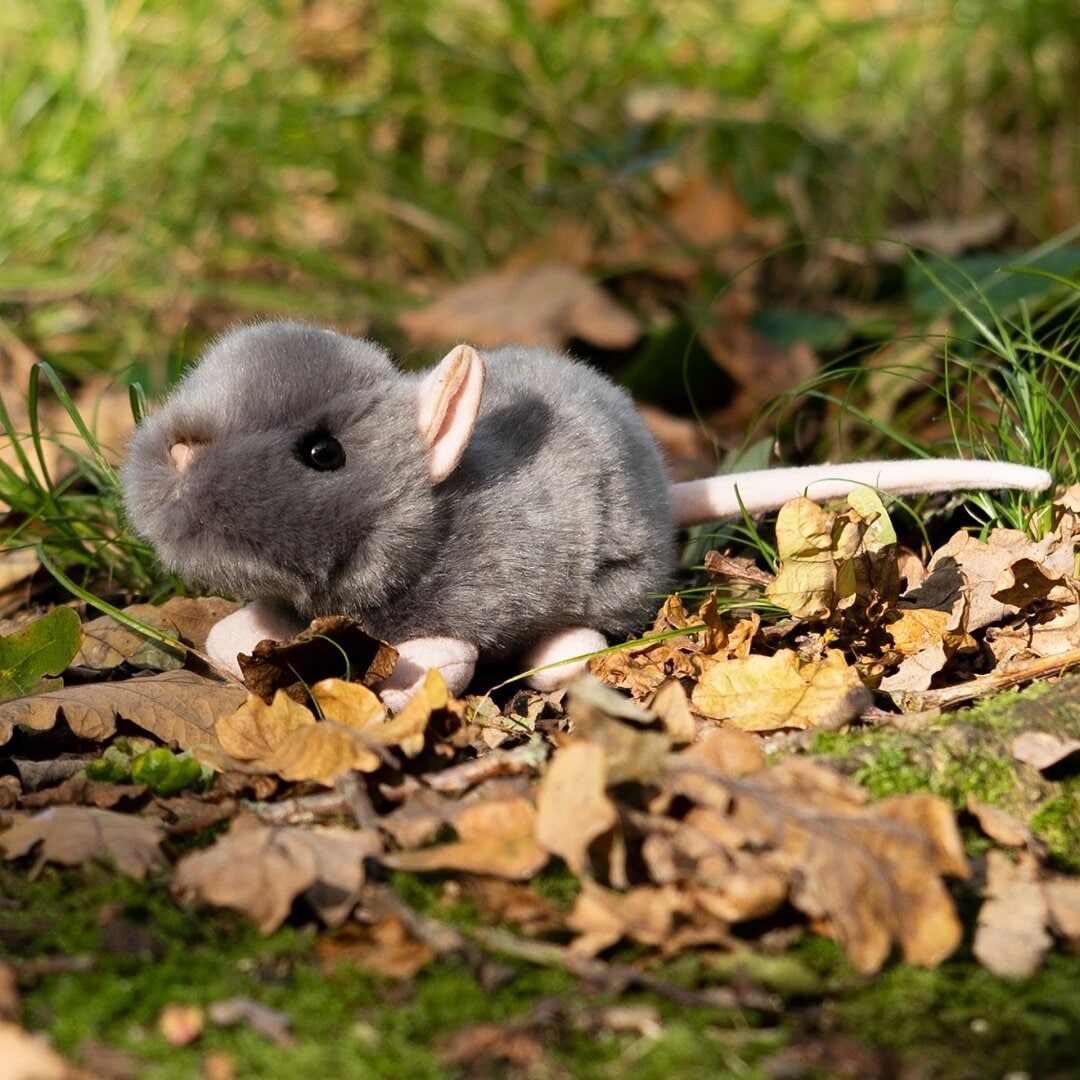 Animigos World of Nature Ratte 18 cm