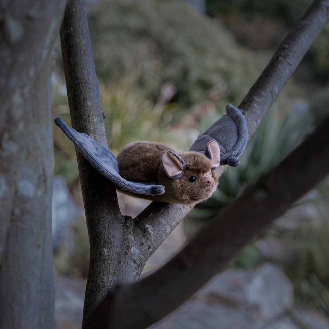 Animigos World of Nature Fledermaus 26 cm