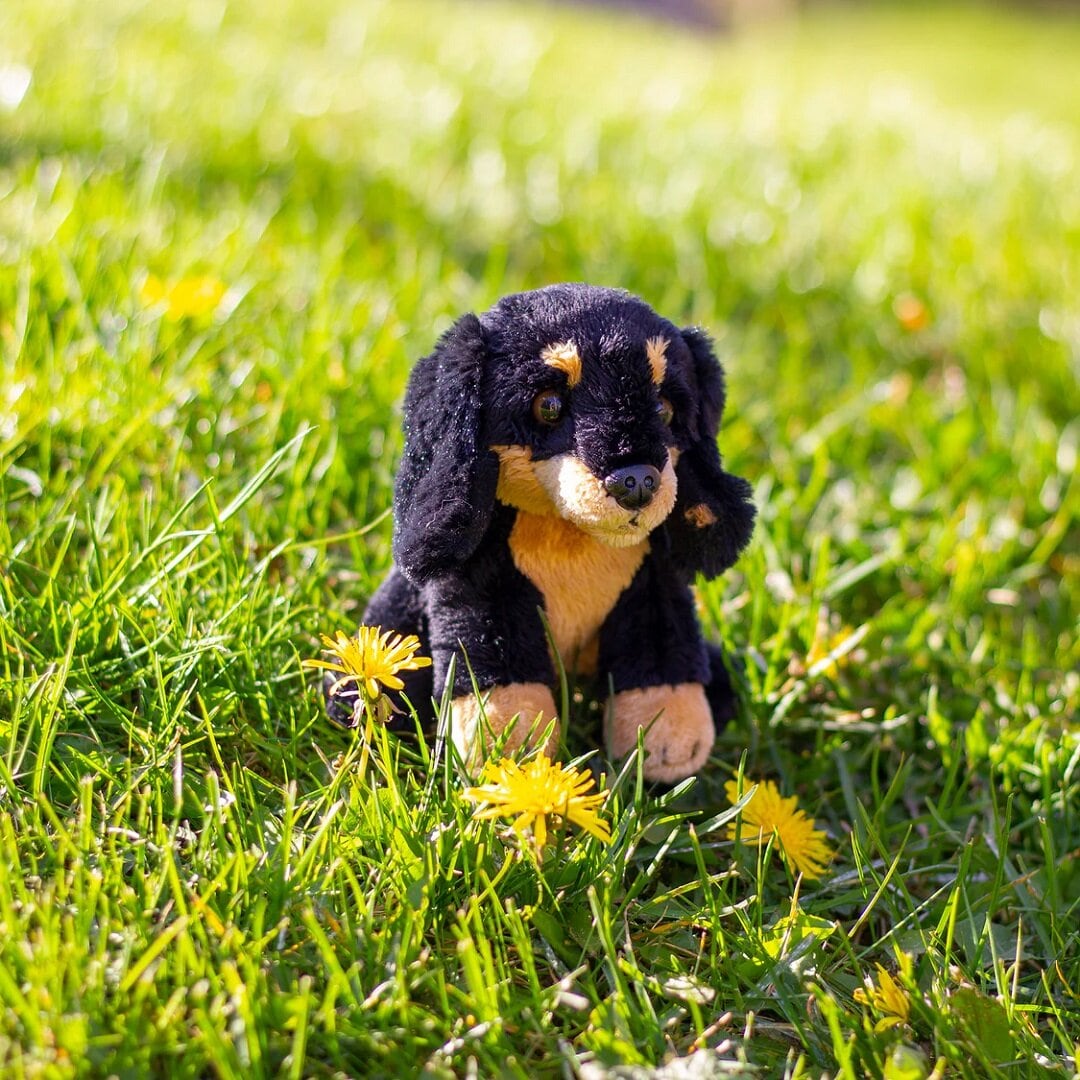 Animigos World of Nature Mini - Dackel