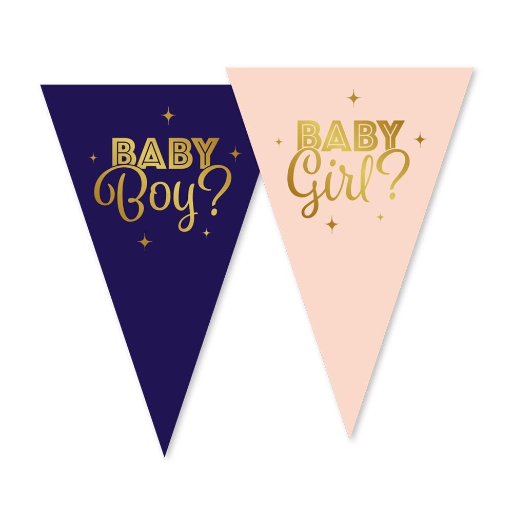 Gender Reveal Wimpelkette 10 Meter