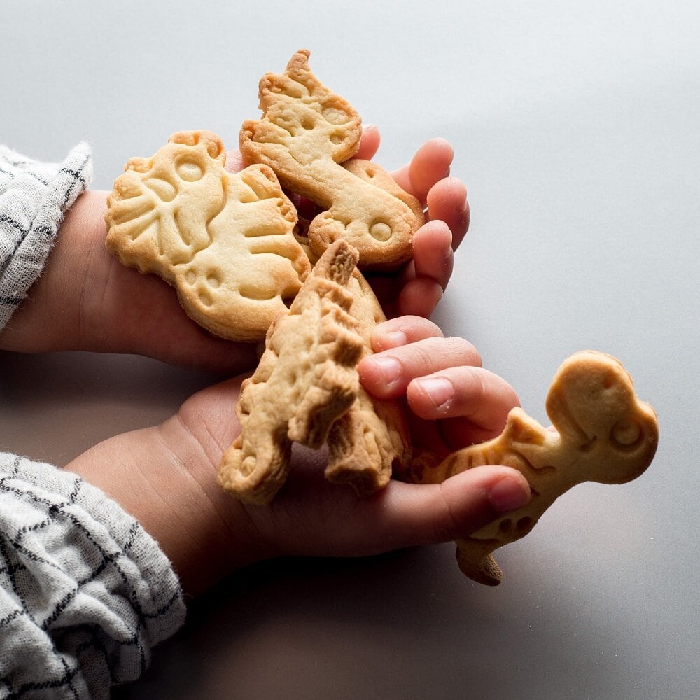 Dinosaurier-Ausstechformen 2er-Pack