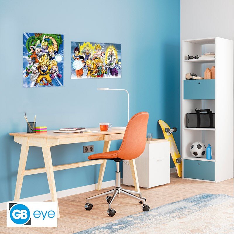 Poster - Dragon Ball 2er-Pack