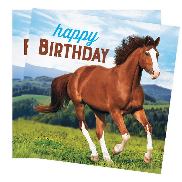 Pferd und Pony - Servietten Happy Birthday 16er Pack