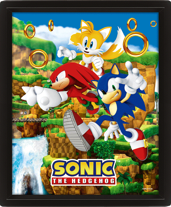 Sonic the Hedgehog - 3D-Leinwand