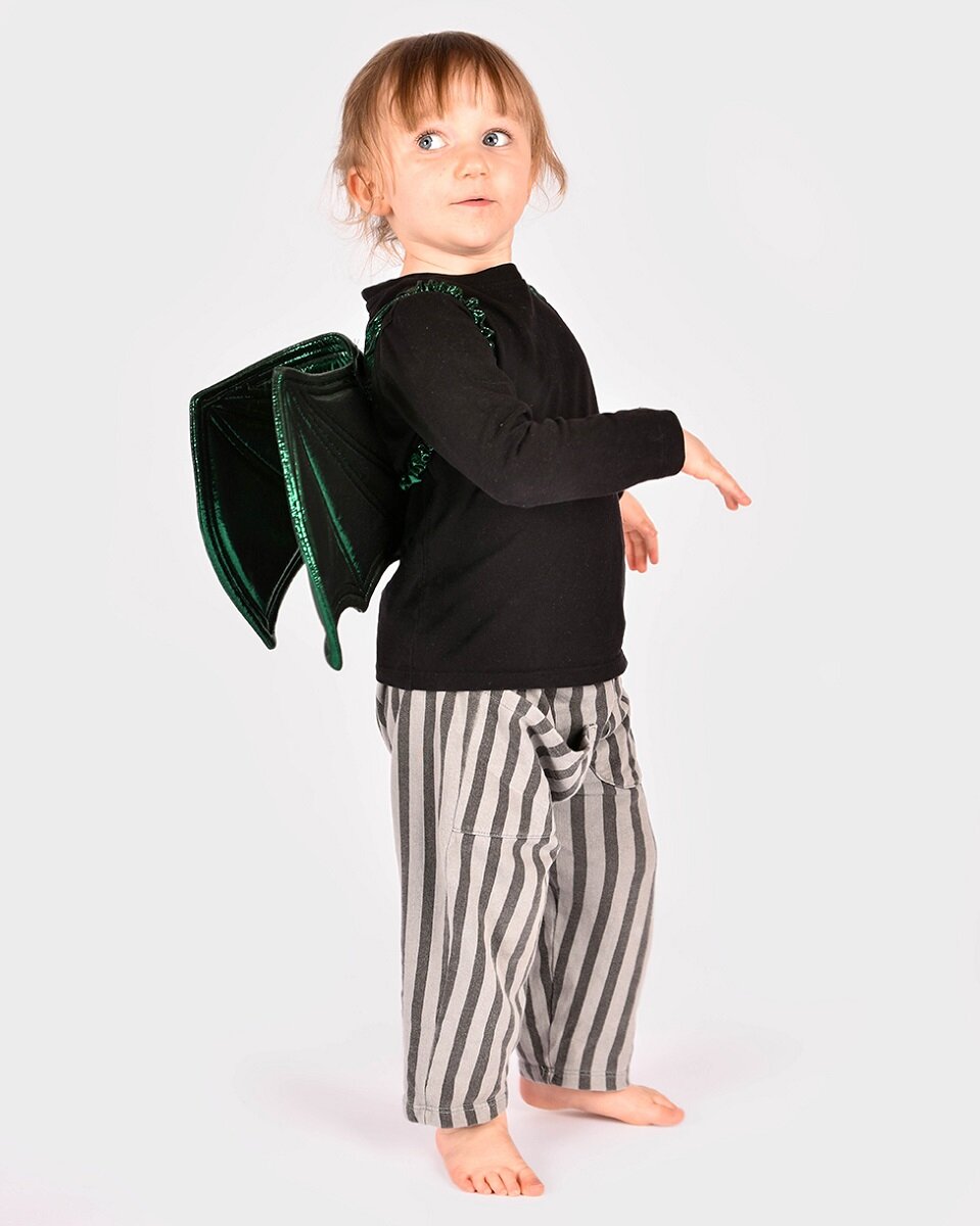 Grüne Drachenflügel Kindergröße 30 cm