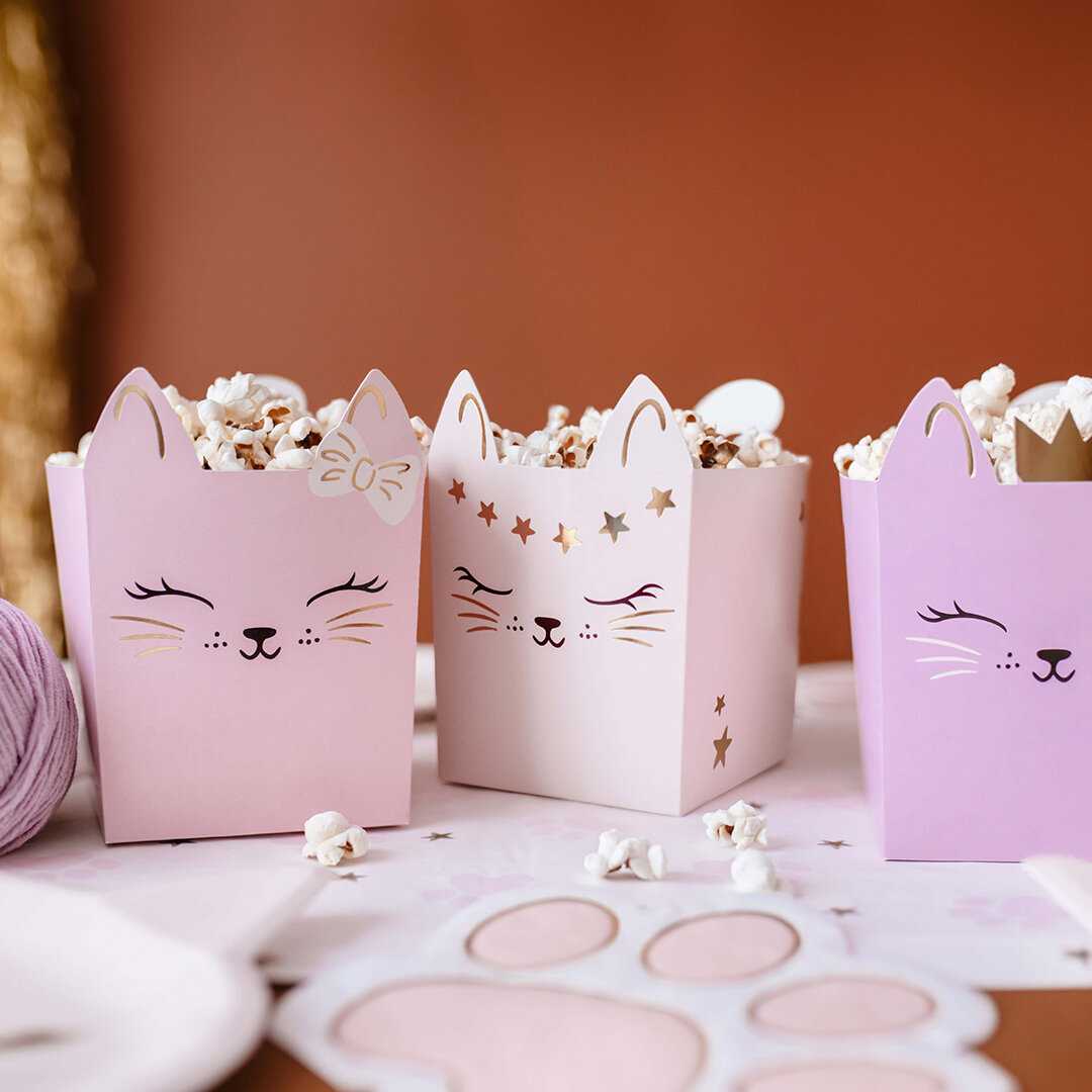 Katzenparty - Snackboxen 3er-Pack