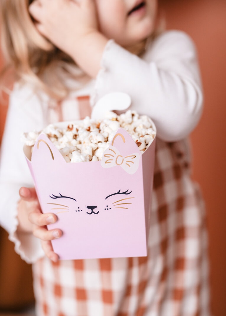 Katzenparty - Snackboxen 3er-Pack