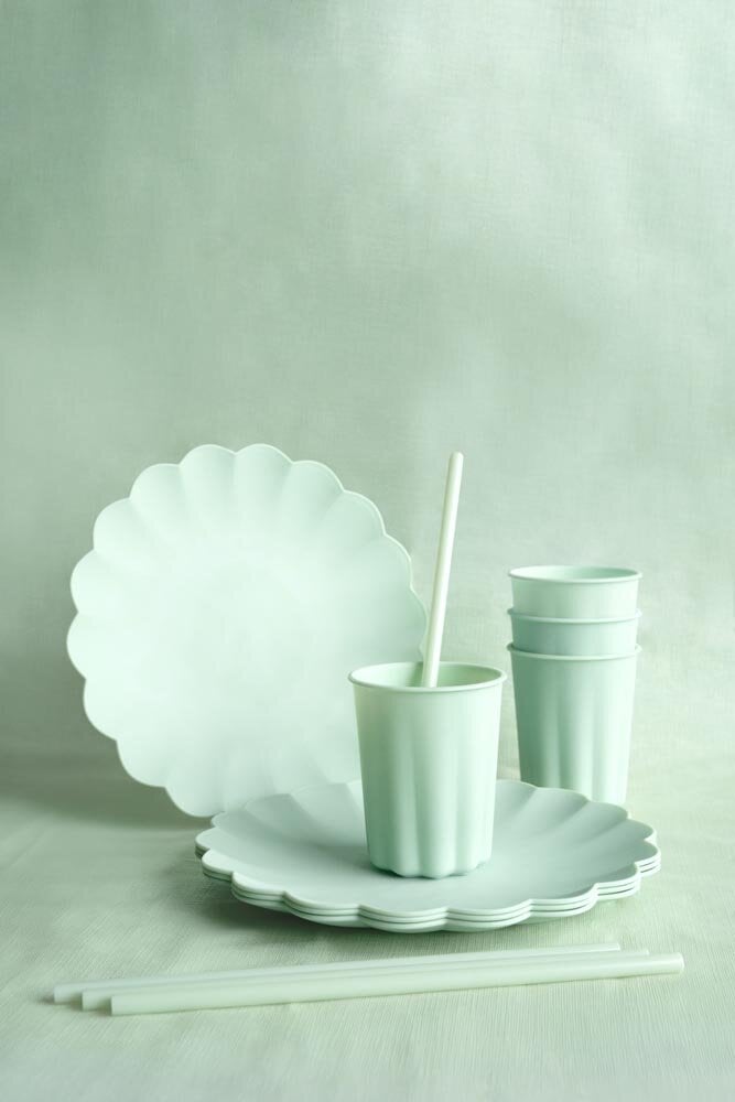 Kunststoffteller, pastellgrün 22 cm 4er-Pack