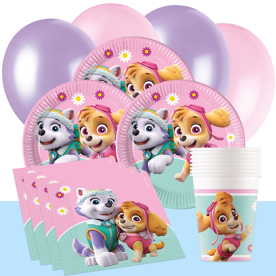 Paw Patrol Skye - Kindergeburtstag Partyset 8-16 Personen