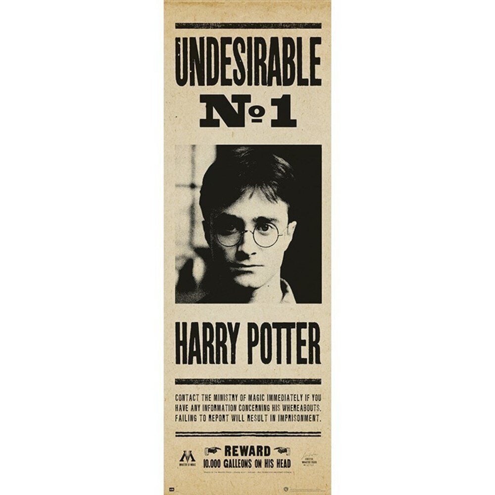 Türposter - Harry Potter Unerwünscht 53 x 158 cm