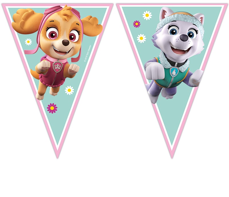 Paw Patrol Skye & Everest - Wimpelkette 230 cm