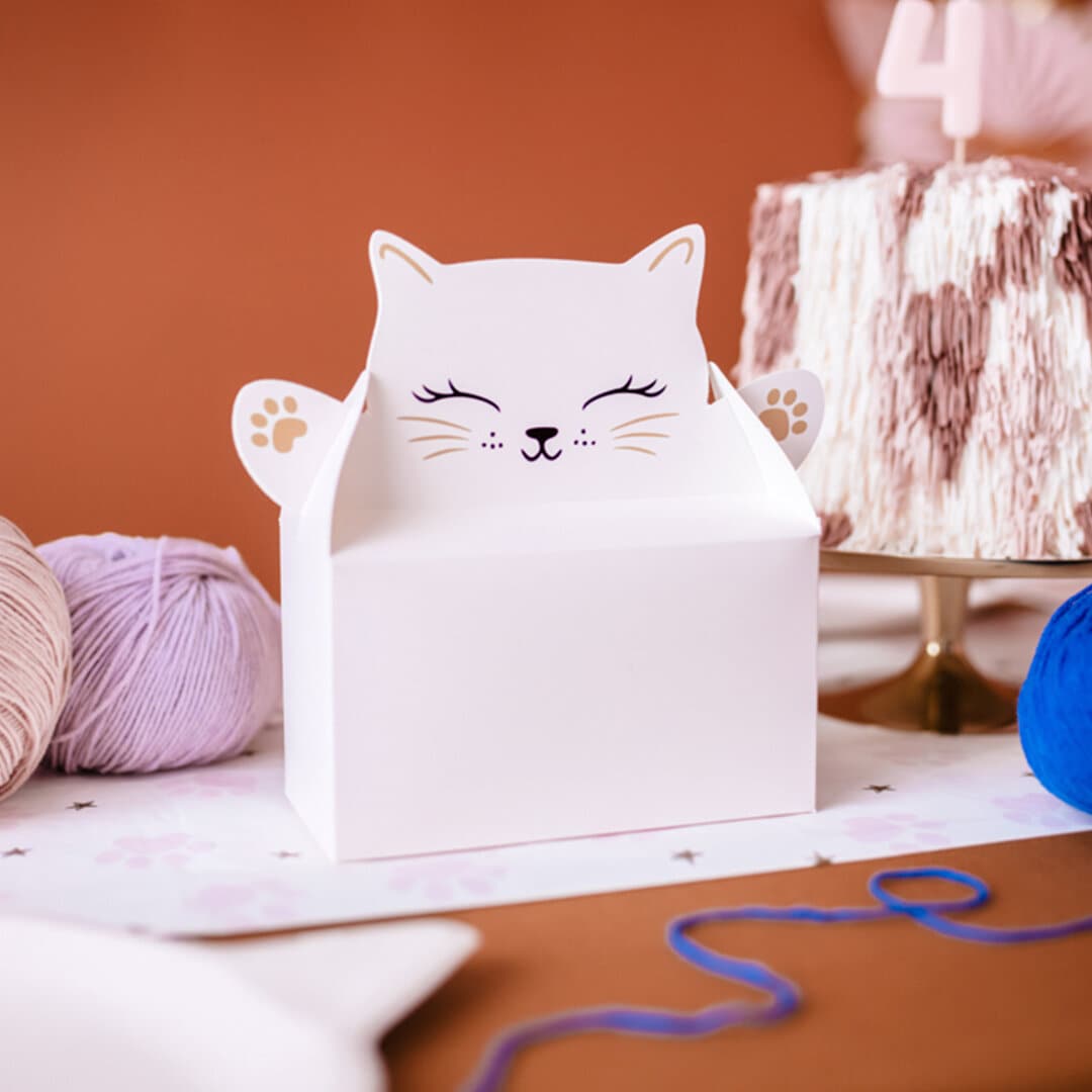 Katzenparty - Geschenkboxen 6er-Pack