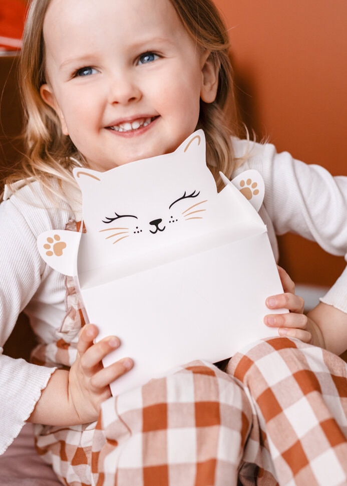 Katzenparty - Geschenkboxen 6er-Pack