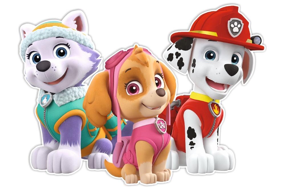 Paw Patrol 3D-Wanddeko - Skye, Everest & Marshall